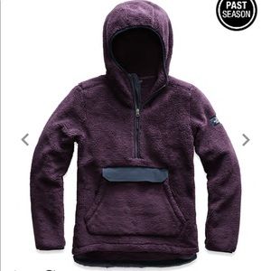 The North Face Campshire pullover hoodie